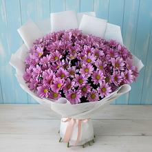 Букет цветов из:  Хризантемы в Тальменке